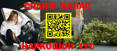 стафф Будённовск