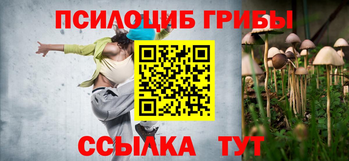 Галлюциногенные грибы MAGIC MUSHROOMS Сертолово