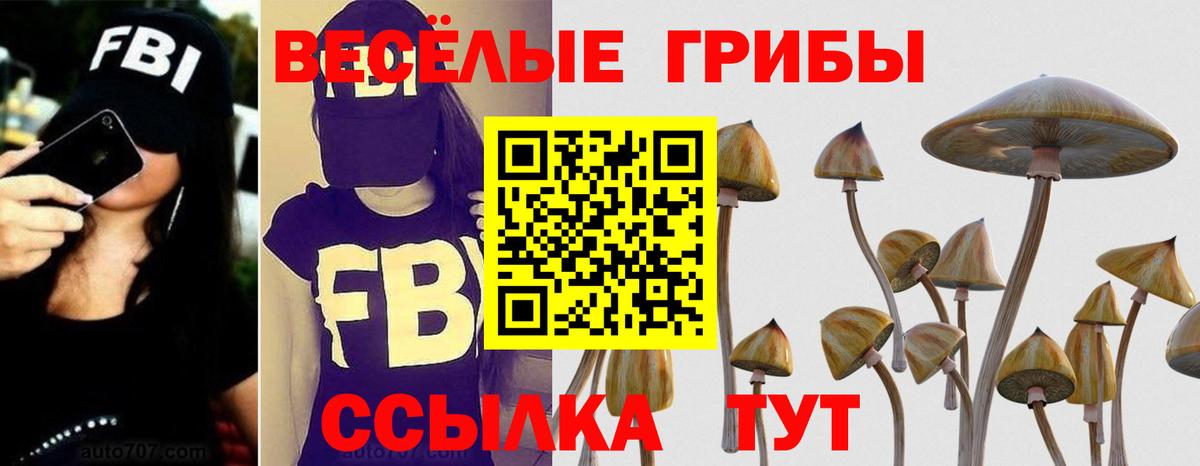 закладка  Вход с VPN  Псилоцибиновые грибы ЛСД  Сертолово  Псилоцибиновые грибы прущие грибы 